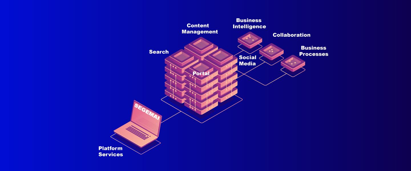 Enterprise Portal development | SAP Enterprise portal | Enterprise Information portal